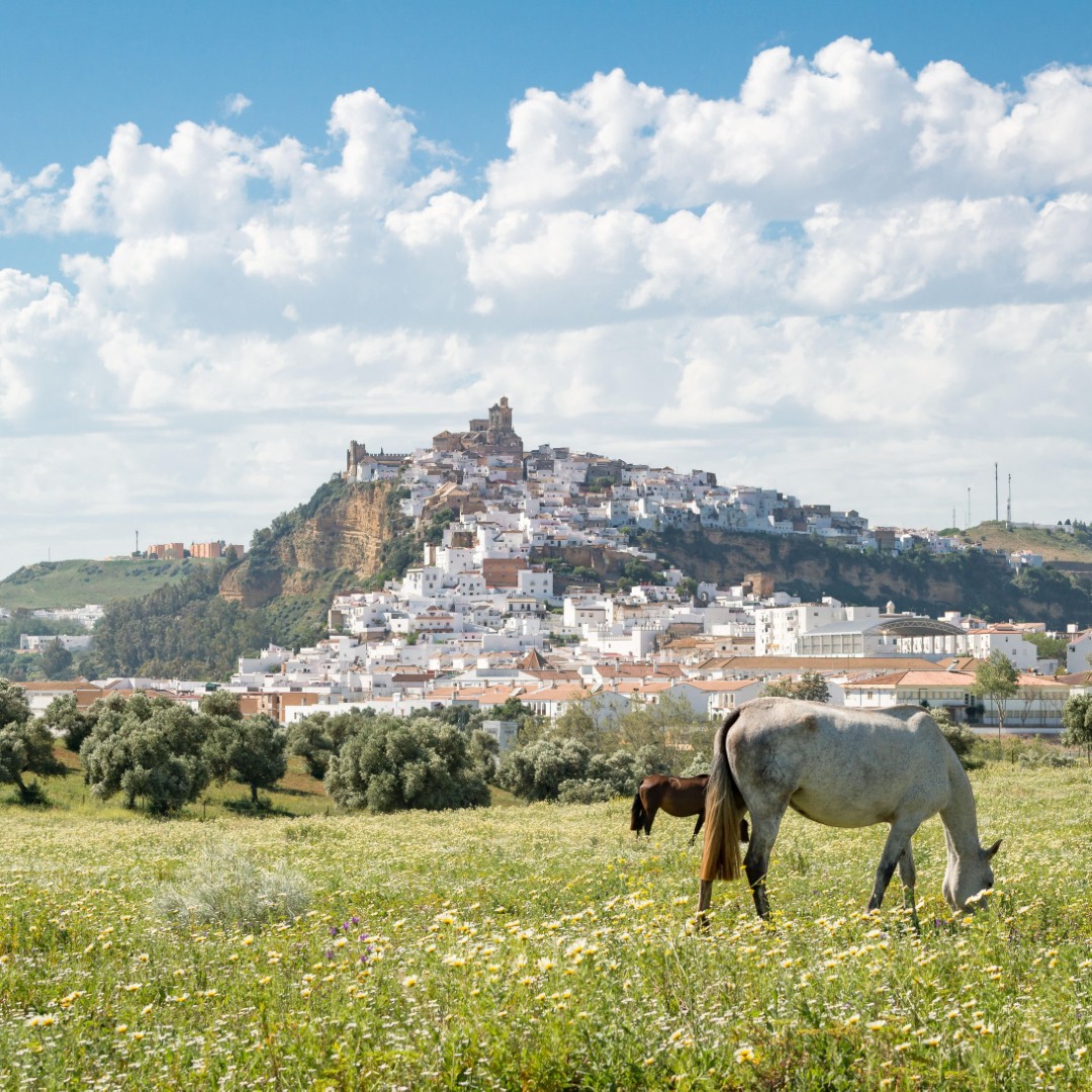 Resto andalucía